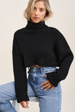 Aspen Turtleneck Sweater - Black